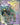 Arvens Mabosstiff ex