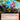 Snort (Extended Art)