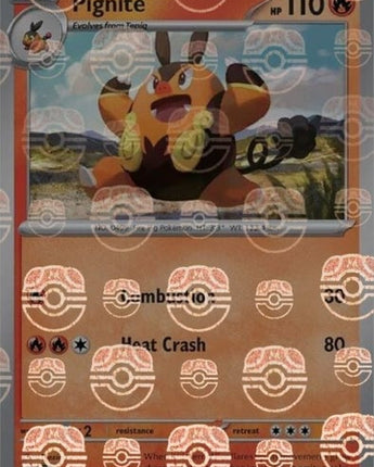 Pignite (Master Ball Pattern)