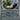 Tornadus (Master Ball Pattern)