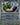 Tornadus (Master Ball Pattern)