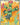 Maractus - 093/086