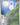 Litwick - 101/086