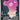 Munna - 116/086