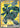 Zekrom ex - 158/086