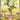 Meloetta ex - 167/086