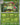 Amoonguss (Master Ball Pattern)