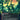 Raging Ravine (0080) (Borderless)