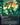 Raging Ravine (0080) (Borderless)