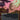 Lotus Field (0158) (Borderless) (Galaxy Foil)
