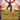 Peter Parker (0208) (Borderless) (Back)