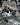 Reanimate (Borderless)