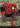 Arachnogenesis (Borderless)