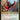 Scarlet Spider, Ben Reilly