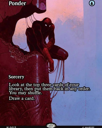 Ponder (Borderless)