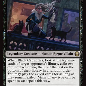 Black Cat, Cunning Thief