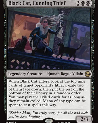 Black Cat, Cunning Thief