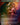 Demonic Tutor (Rainbow Foil)