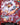 Monkey.D.Luffy - ST21-001 (Luffy Deck)