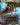 The Destined White Mage (Borderless)
