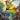 Yuffie, Materia Hunter (Borderless) (Chocobo Track Foil)