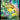 Forest (Chocobo Track Foil)