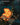 Shattering Spree (Borderless)
