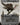 Raven Eagle (Borderless)