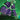 Taunting Challenge (Borderless)