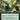 Avatar Kyoshi, Earthbender (Extended Art)
