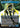 Bruce Banner (Borderless)