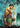 Harbinger of the Seas (Borderless)