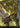 Force of Vigor (Borderless)