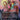 Painter's Servant (Borderless)