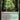 Golgari Rot Farm