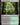 Golgari Rot Farm