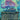 Wistfulness (Borderless)