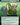 Springleaf Parade (Extended Art)