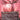 Catharsis (Borderless)