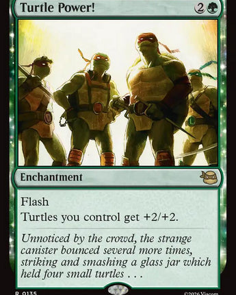 Turtle Power!