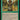 Noble Hierarch