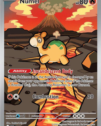Numel - 223/217