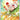 Scorbunny - 225/217