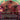 Xorn (2495)