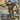 Donatello, Gadget Master (Showcase) (Fracture Foil)