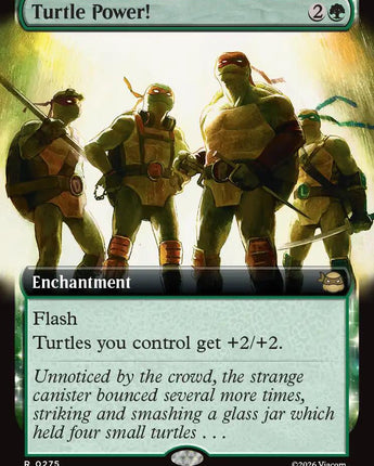 Turtle Power! (Extended Art)