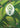 Calm Rune (R02b)