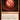 Blood Moon