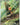 Chespin - 084/083