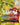 Monkey.D.Luffy (Winner Pack 2026 Vol. 2)